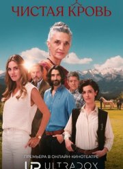 ������ ����� (2026)