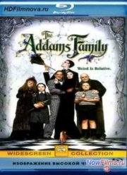 Семейка Аддамс (1991)