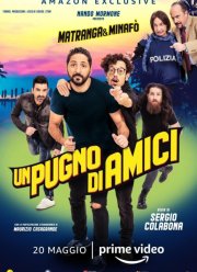 Горстка друзей (2020)