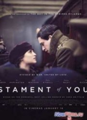 Воспоминания о будущем / Заветы юности (2015)