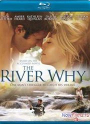 Река-вопрос (2010)