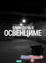 Discovery. Один день в Освенциме (2015)