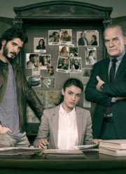 Под подозрением (2014) 1-2 сезон