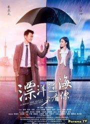 ����� �����, ����� ������� ���� (2017)