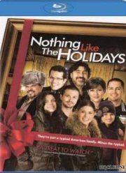 С праздниками ничто не сравнится (2008)