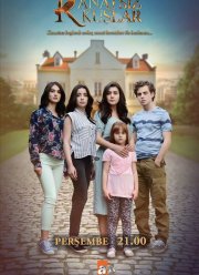 Птицы без крыльев (2017)