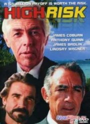 Высший риск (1981)