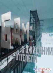 БАМ: в ожидании оттепели (2014)