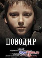 Поводырь (2014)