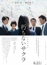 ������ ������ (2024)