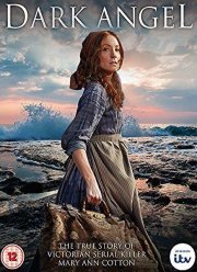 Темный ангел (2016)