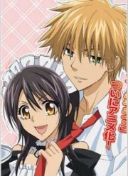 Президент студсовета - горничная! (2010)