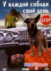 У каждой собаки свой день (1997)