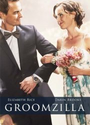 Чокнутый жених (2017)