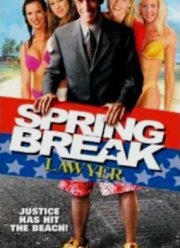 Адвокат на каникулы (2001)