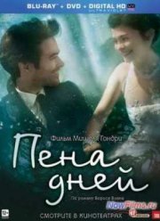 Пена дней (2013)