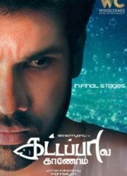 В поисках золотой рыбки (2017)