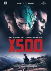 Икс500 (2016)
