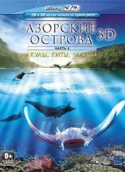 Смотреть Азорские острова. Часть 1: Акулы, киты, манты (2012)