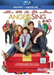 ����� ���� ������ (2013)