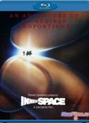 Внутреннее пространство (1987)