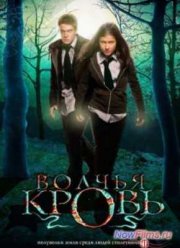 Волчья кровь (2 Сезон) (2013)