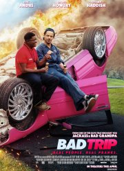 Бэд трип (2020)