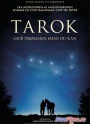 Поймать мечту (2013)