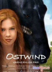 Восточный ветер (2013)