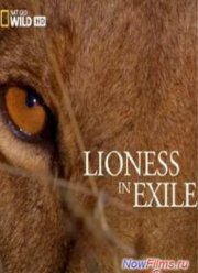 Львица в изгнании (2012)