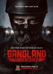 Под прикрытием (2015) 1-2 сезон