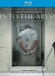 В бездну: Повесть о жизни, повесть о смерти (2011)