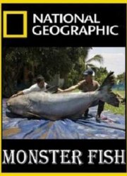 National Geographic. Охотник на пресноводных гигантов (2011)