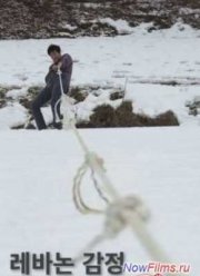 Ливанские эмоции (2013)