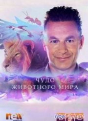 Чудо животного мира (2014)