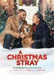 Рождественская дворняжка (2021)