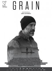 Зерно (2017)