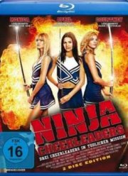 Ниндзя из группы поддержки (2008)