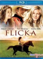 Флика (2006)