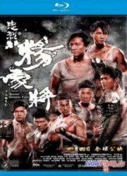 Спасти генерала Яна (2013)