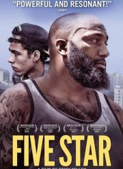 Пять звезд (2014)