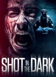 Выстрел в темноте (2021)