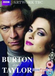 Бертон и Тейлор (2013)