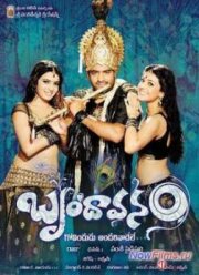 Суперигрок / Процветающий сад (2010)