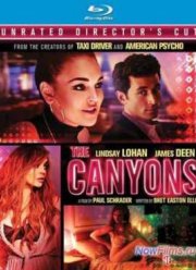 Каньоны (2013)