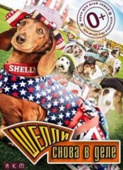 Шелли снова в деле (2016)