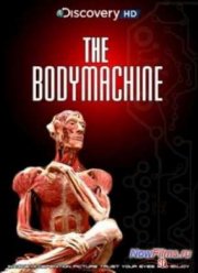 Discovery: Механизмы организма (2008)