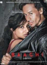 Бунтарь (2016)