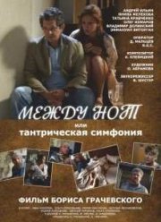Между нот, или Тантрическая симфония (2015)