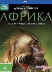 Смотреть BBC: Африка (2013)